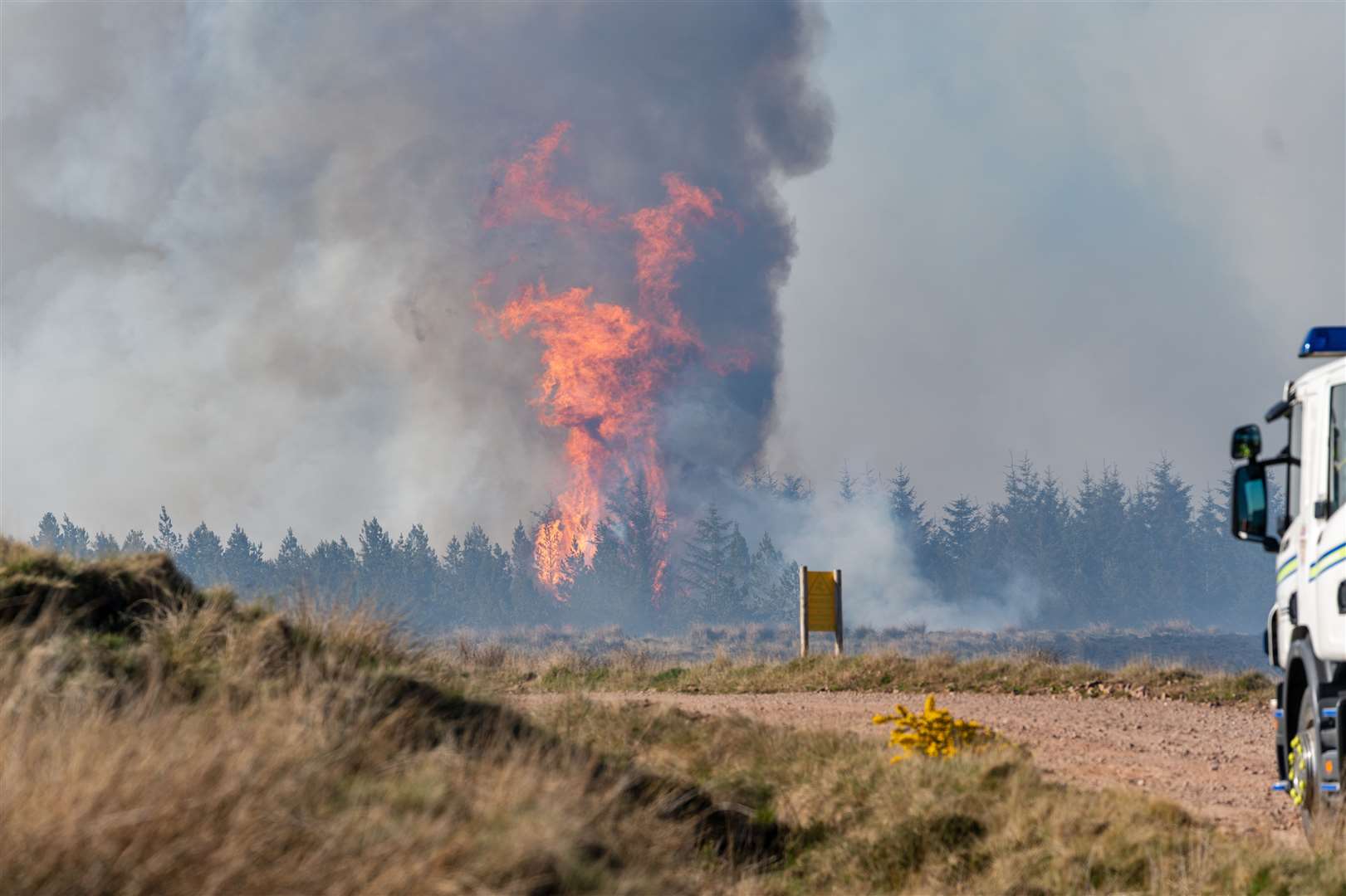 The wildfire entered forest areas near Dunphail. Picture by Brian Smith.