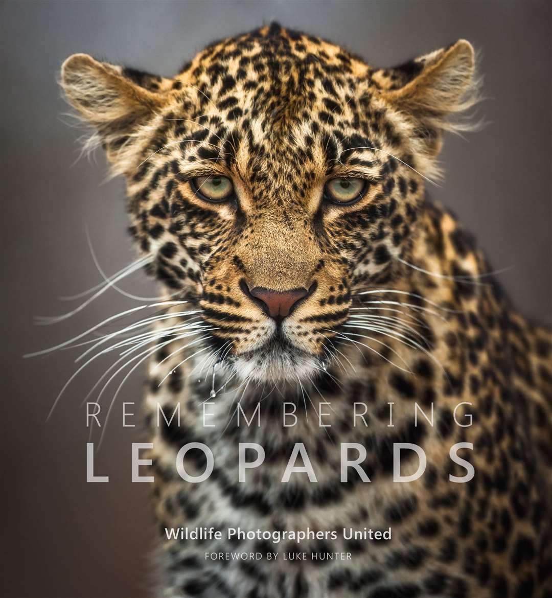 The latest edition of the Remembering Wildlife photobook series (Mark Dumbleton/Remembering Leopards/PA)